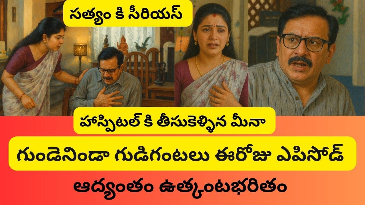 గుండెనిండా గుడిగంటలు సీరియల్ 30/04/2025