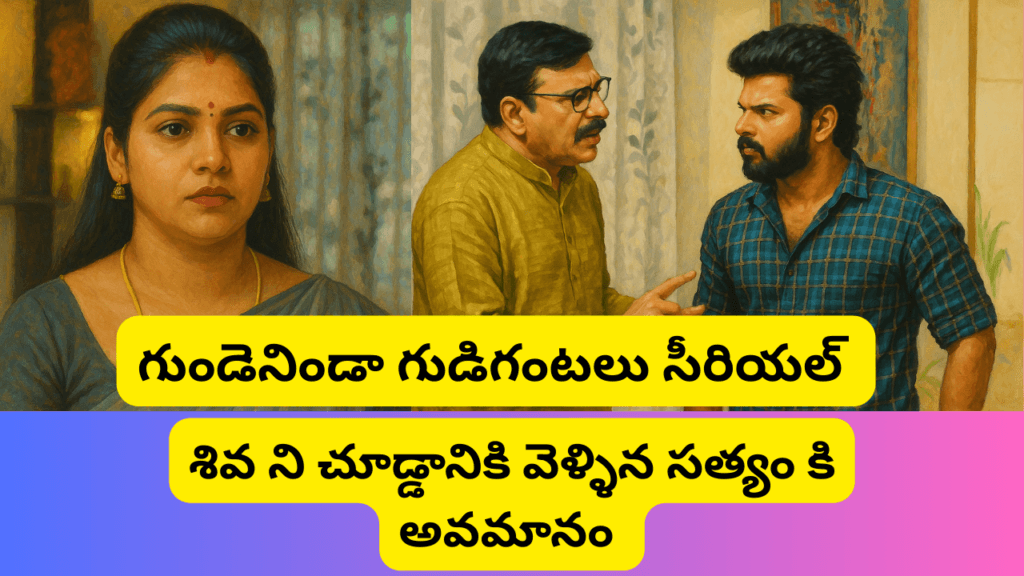 గుండెనిండా గుడిగంటలు సీరియల్ 12/05/2025