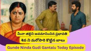 గుండెనిండా గుడిగంటలు సీరియల్ 14/05/2025
